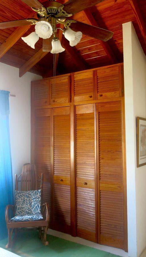 קרייסט צ'רץ' Gemini House Bed & Breakfast מראה חיצוני תמונה