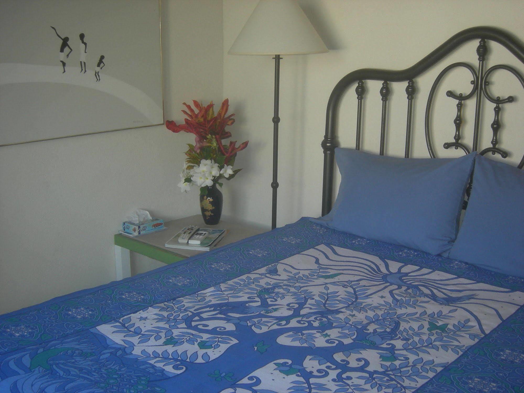 קרייסט צ'רץ' Gemini House Bed & Breakfast מראה חיצוני תמונה