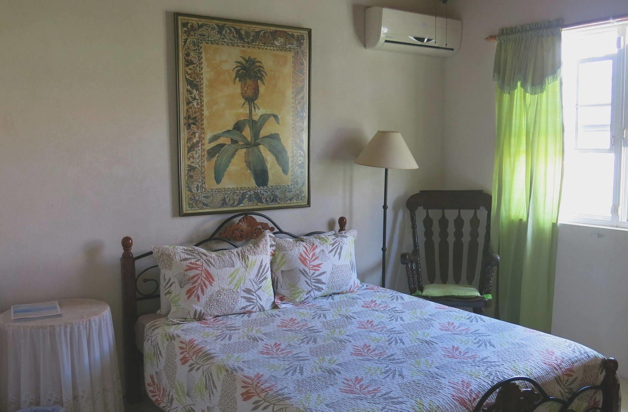 קרייסט צ'רץ' Gemini House Bed & Breakfast מראה חיצוני תמונה