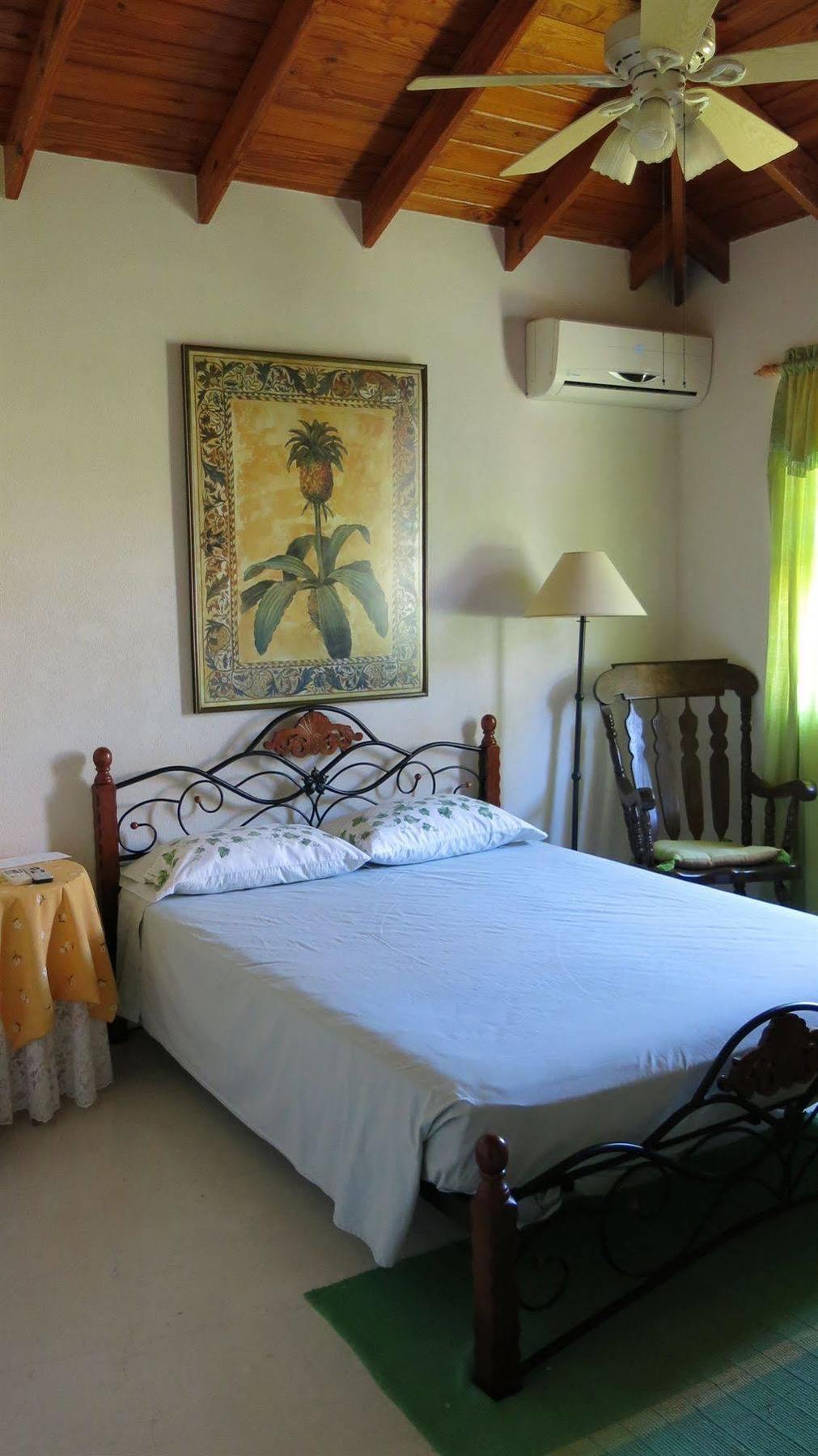 קרייסט צ'רץ' Gemini House Bed & Breakfast מראה חיצוני תמונה